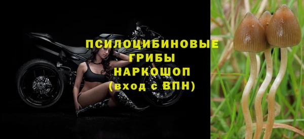 мдпв Лиски
