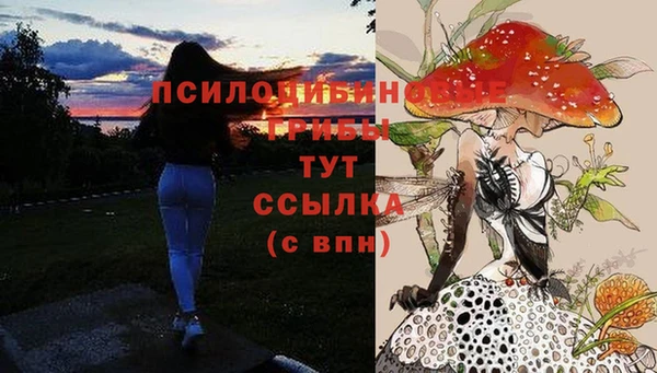 мдпв Лиски