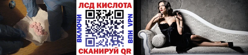Купить закладки  Заволжье  Лсд 25 экстази кислота 